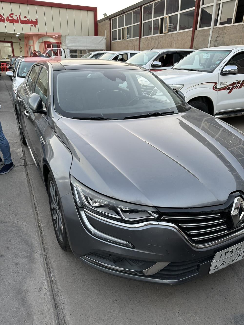 رينو تلسمان